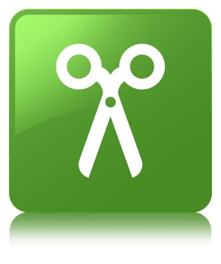 Makas kutsal kişilerin resmi yumuşak yeşil kare düğme