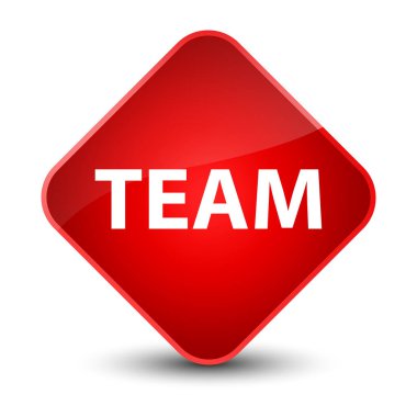 Takım zarif kırmızı elmas düğmesi