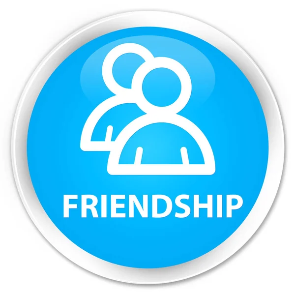 Friendship (group icon) premium cyan blue round button — Stock Photo, Image