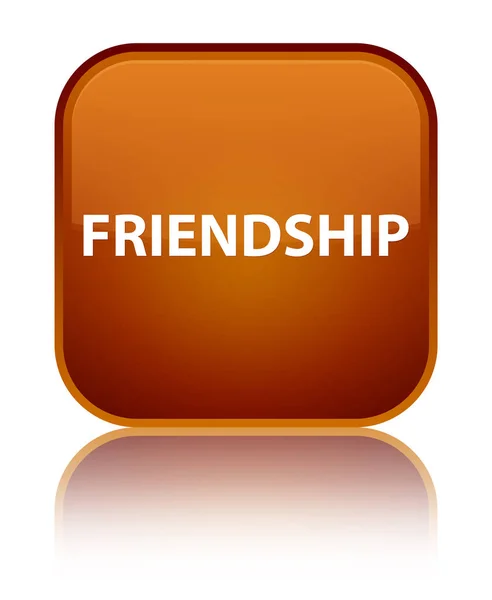 Dostluk özel kahverengi kare düğme — Stok fotoğraf