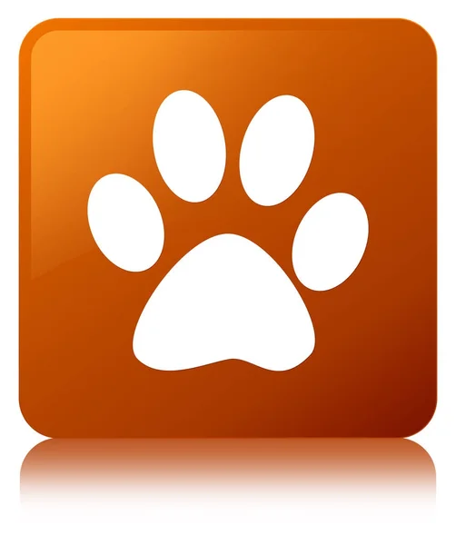 Animal footprint icon brown square button — Stock Photo, Image