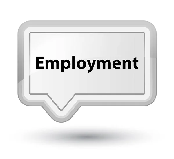 Employment prime white banner button — Stock Photo, Image