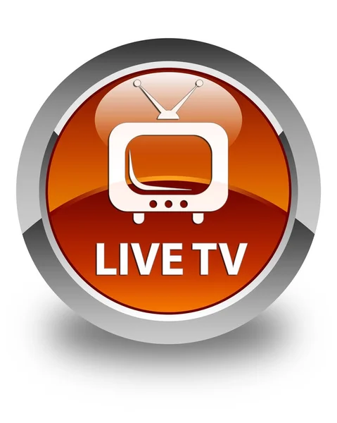 라이브 tv 광택 있는 갈색 둥근 버튼 — 스톡 사진