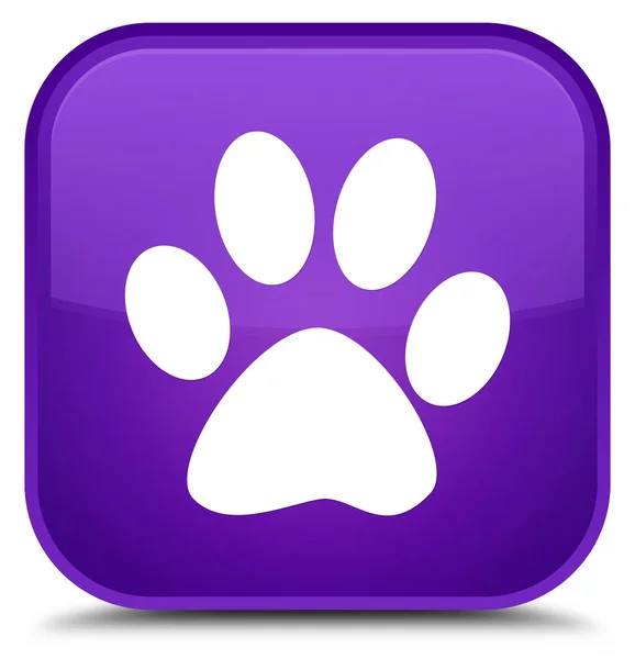 Animal footprint icon special purple square button — Stock Photo, Image