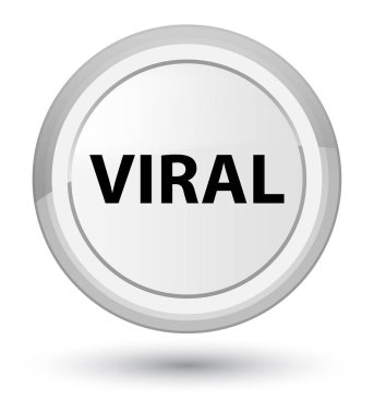 Viral Başbakan düğmenin beyaz