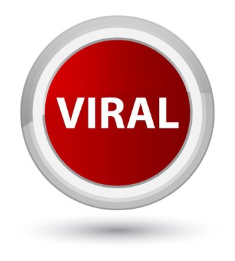 Viral Başbakan düğmenin kırmızı