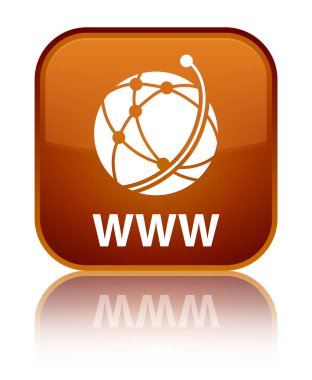 Www (küresel ağ simgesini) özel kahverengi kare düğme
