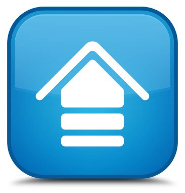 Kutsal kişilerin resmi özel camgöbeği mavi kare düğme upload