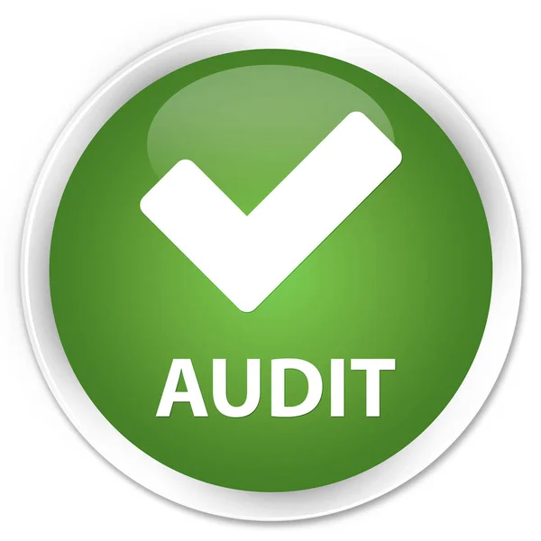 Audit (Validierungssymbol) Premium weicher grüner runder Knopf — Stockfoto