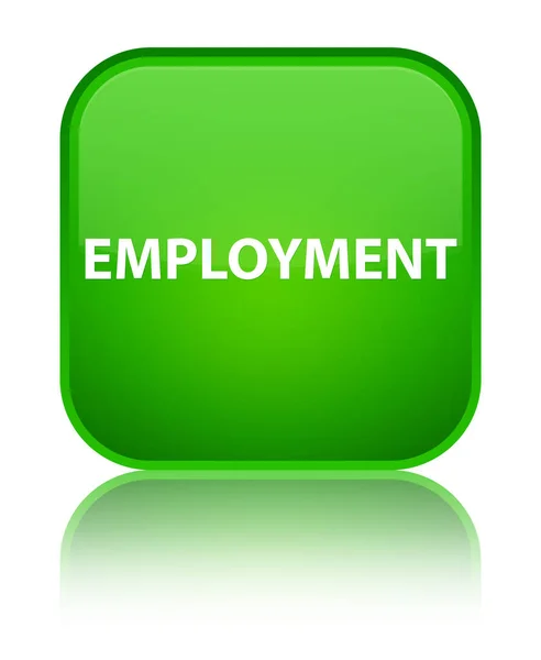 고용 특별 한 녹색 사각형 버튼 — 스톡 사진