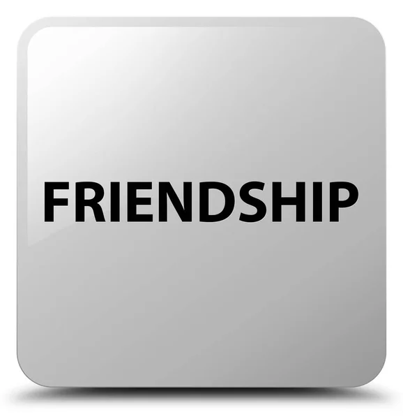 Friendship white square button — Stock Photo, Image