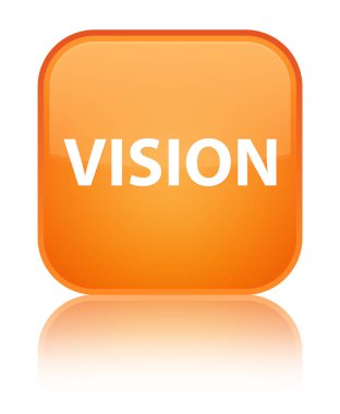 Vizyon özel turuncu kare düğme