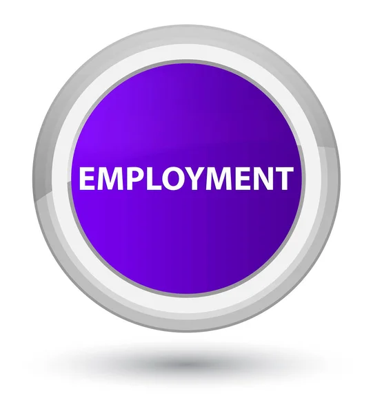 Employment prime purple round button — Stock Photo, Image