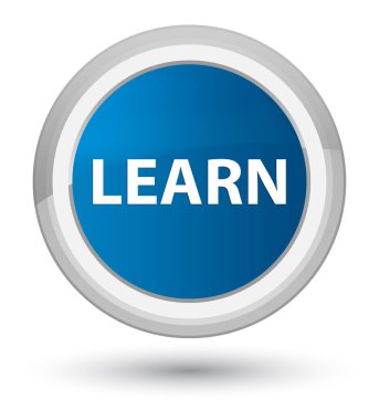 Başbakan düğmenin mavi öğrenin