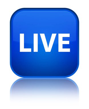 Canlı özel mavi kare düğme