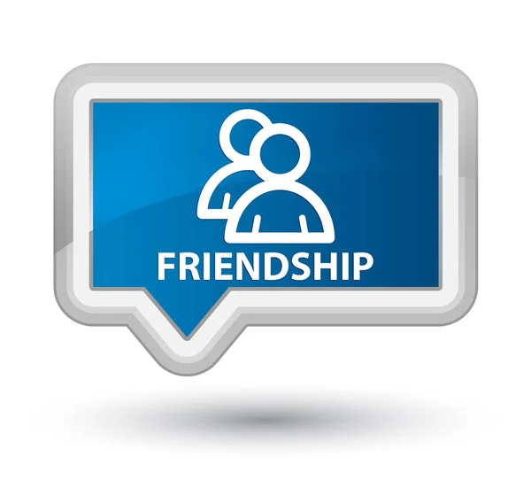 Дружба (піктограма групи) кнопка синього прапора — стокове фото