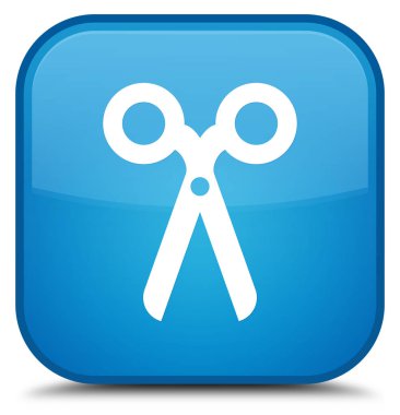 Makas kutsal kişilerin resmi özel camgöbeği mavi kare düğme