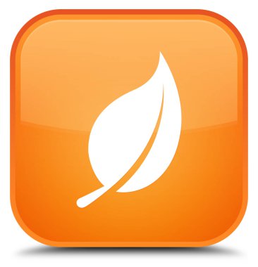 Yaprak kutsal kişilerin resmi özel turuncu kare düğme