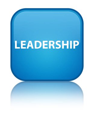 Liderlik özel camgöbeği mavi kare düğme