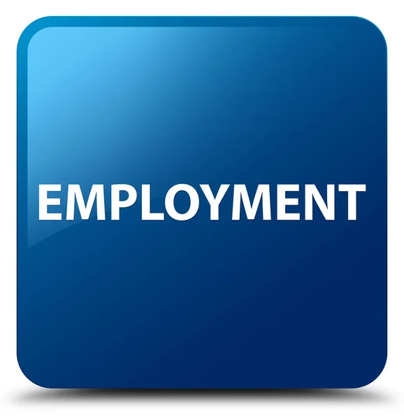 Sysselsättning blå fyrkantiga knappen — Stockfoto