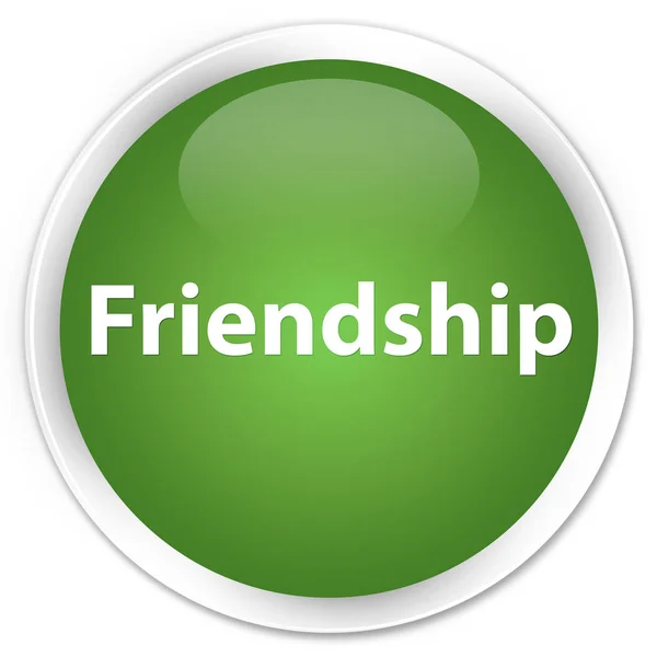 Friendship premium soft green round button — Stock Photo, Image