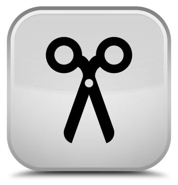 Makas kutsal kişilerin resmi özel beyaz kare düğme