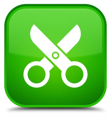 Makas kutsal kişilerin resmi özel yeşil kare düğme