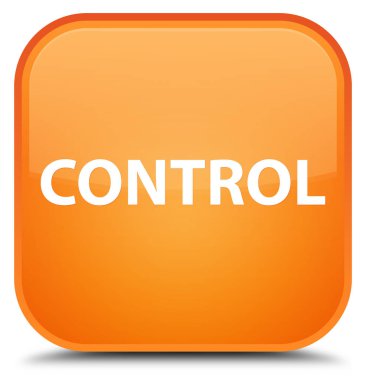 Denetim özel turuncu kare düğme