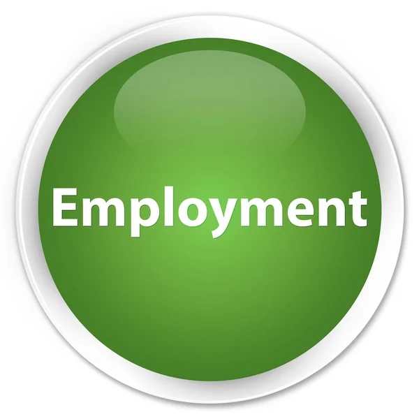 Employment premium soft green round button — Stock Photo, Image