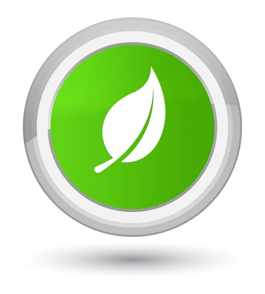 Blattsymbol prime weicher grüner runder Knopf — Stockfoto