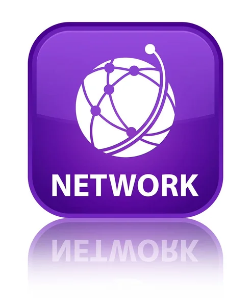 ネットワーク (グローバル ネットワーク アイコン) 特別な紫色の正方形ボタン — ストック写真