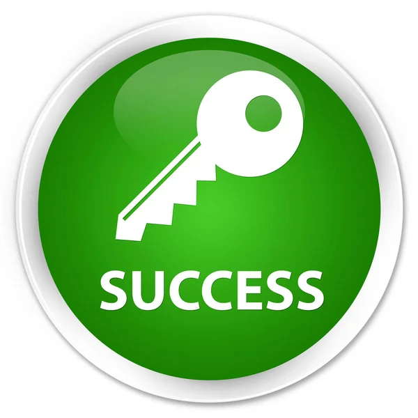 成功 (关键图标) 高级绿色圆形按钮 — 图库照片