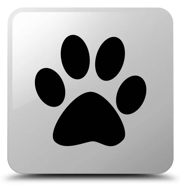 Animal footprint icon white square button — Stock Photo, Image