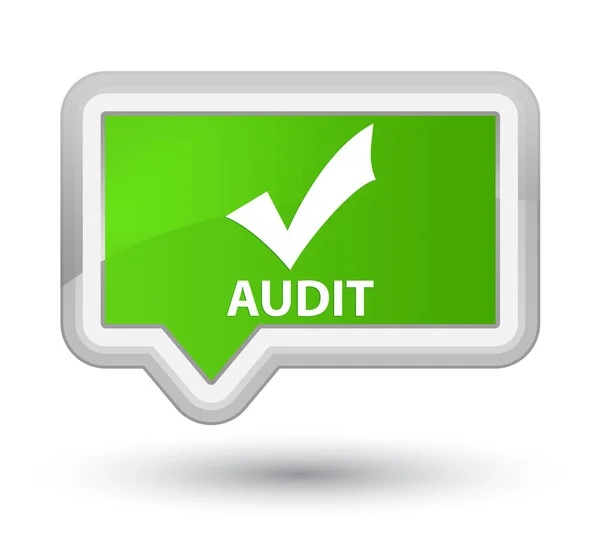 Audit (validate icon) prime soft green banner button — Stock Photo, Image