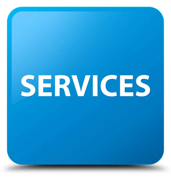 서비스 시안색 파란색 사각형 버튼 — 스톡 사진