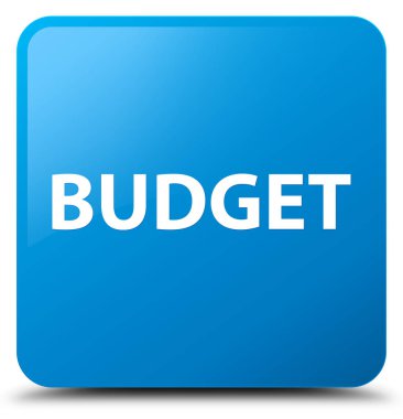 Bütçe camgöbeği mavi kare düğme
