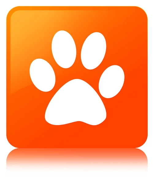 Animal footprint icon orange square button — Stock Photo, Image