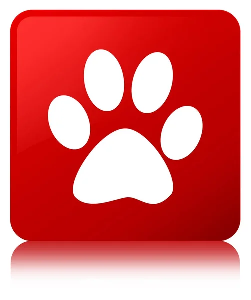 Huella animal icono rojo botón cuadrado —  Fotos de Stock