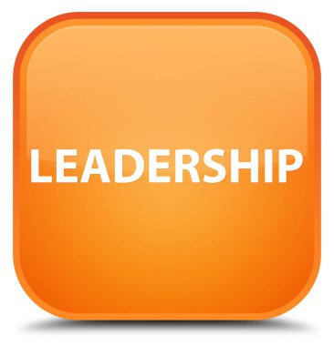 Liderlik özel turuncu kare düğme