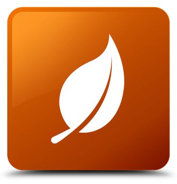 Yaprak kutsal kişilerin resmi kahverengi kare düğme