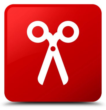 Makas kutsal kişilerin resmi kırmızı kare düğme