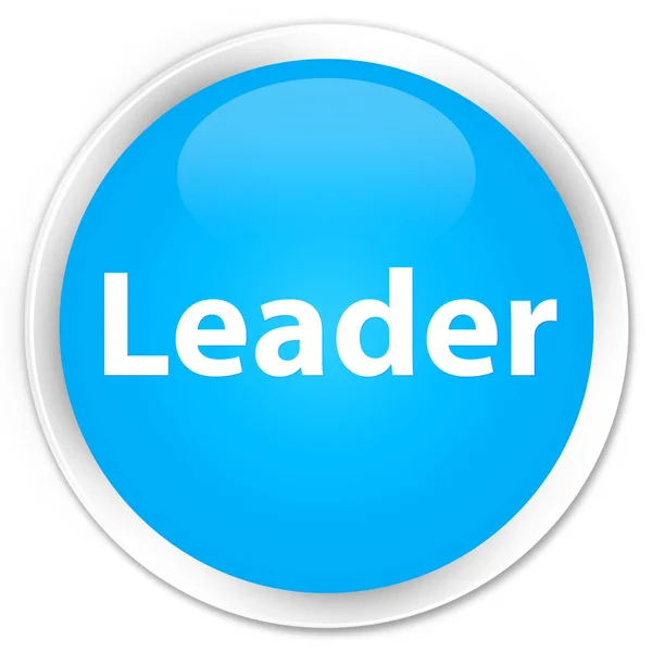 Лідер преміум блакитна кругла кнопка — стокове фото