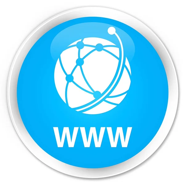 WWW (icono de red global) botón redondo azul cian premium — Foto de Stock