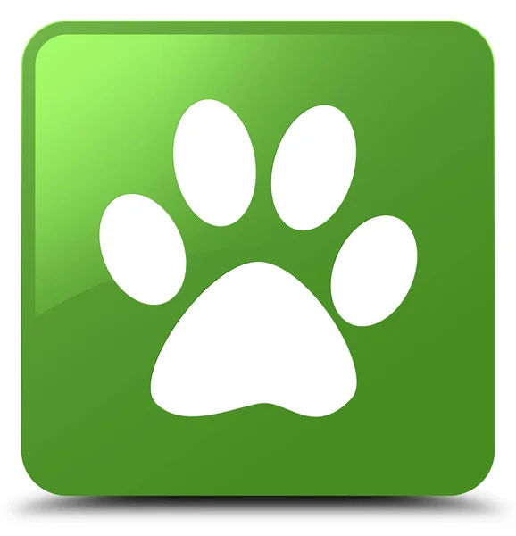 Animal footprint icon soft green square button — Stock Photo, Image