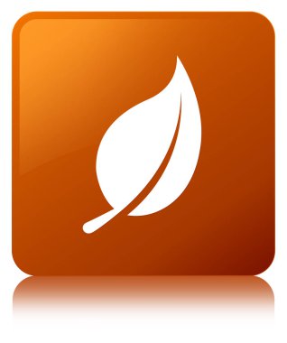 Yaprak kutsal kişilerin resmi kahverengi kare düğme