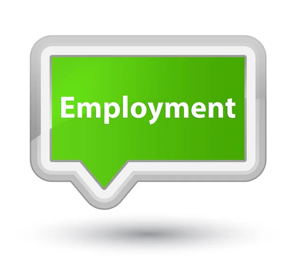 Werkgelegenheid eersteklas zachte groene banner knop — Stockfoto
