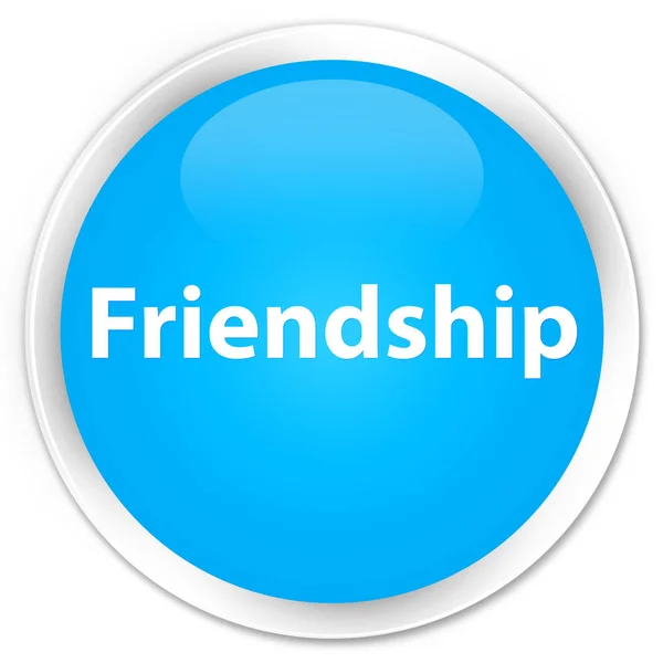 Barátság prémium cián kék kerek gomb — Stock Fotó