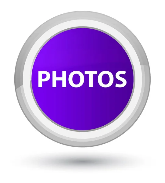 사진 주요 자주색 둥근 단추 — 스톡 사진