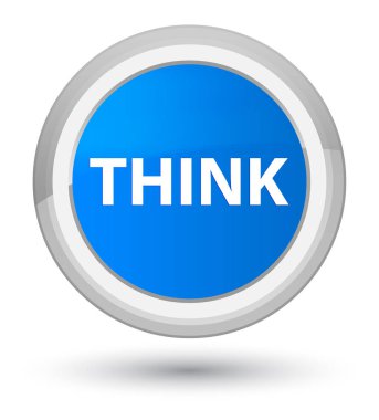 Başbakan camgöbeği mavi yuvarlak düğmesini düşünüyorum