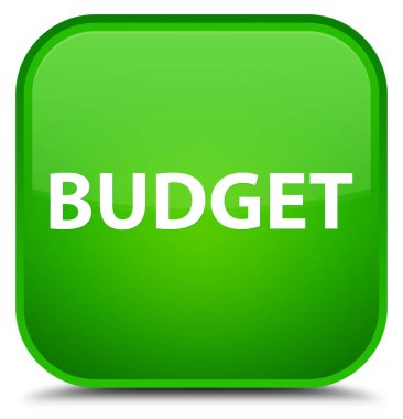 Bütçe özel yeşil kare düğme
